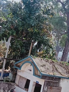 Punjab National Bank