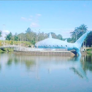 Bauri
