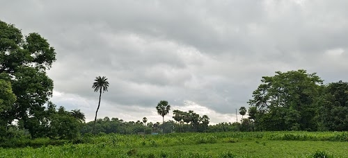 Kumar Manglam