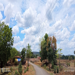 Dandhari