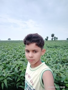 Sanawda