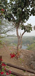 Leisure Valley