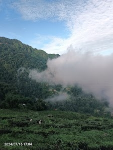 view point of Kurseong