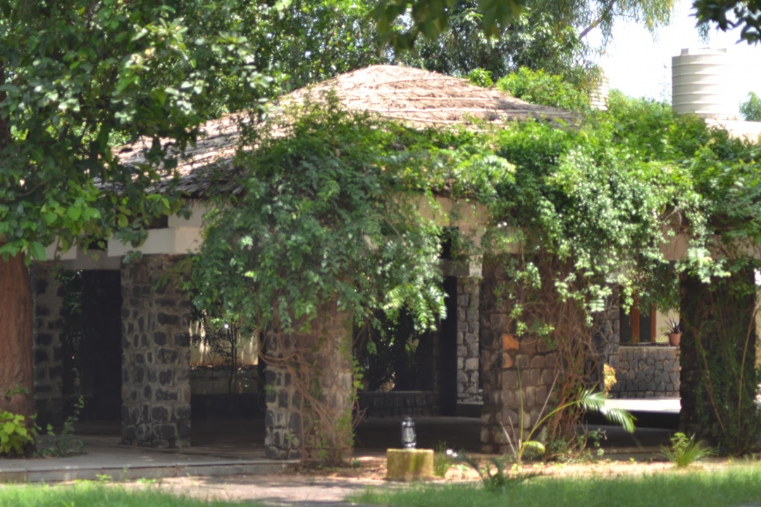 Bandhav Vilas
