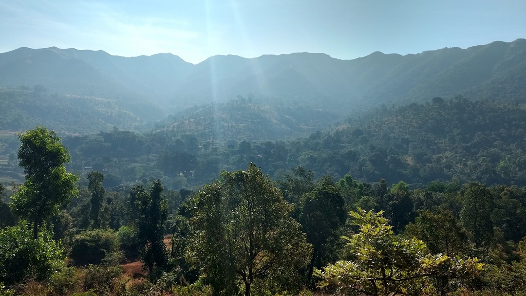 Gunjavane