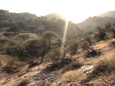 Fort Samod