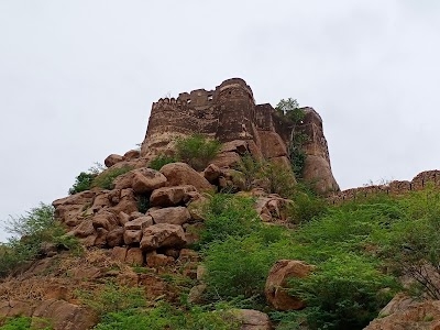 Bhinai Kila