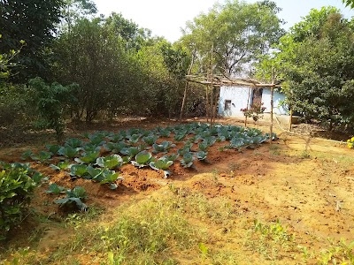 Bhutsahar