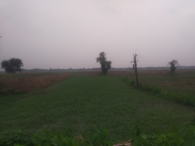Hirapatti