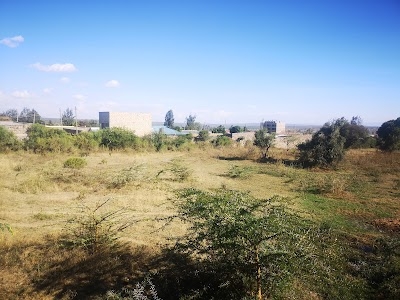 Narok