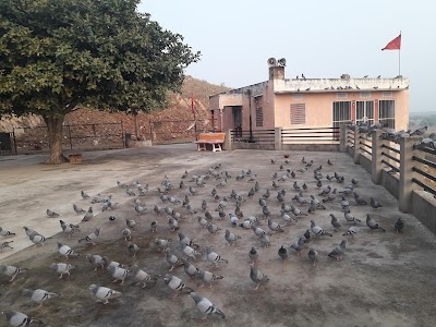 श्री डुंगर वाले वीरहनुमान जी