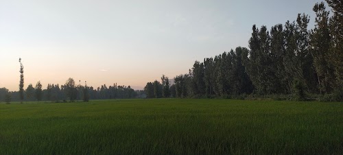 Play ground