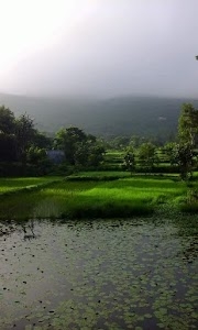 Pankalbadi