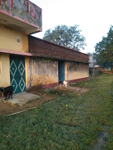 Telonari