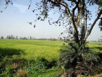 Kumar Patti
