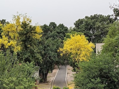 Kaka Nagar, India Gate