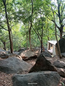 Trikut parvat