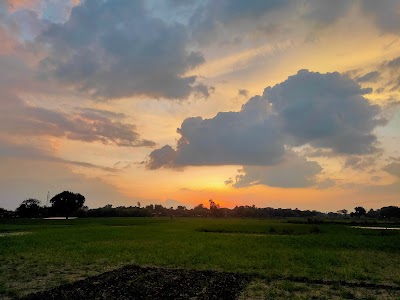Taiyabpur Mangoura