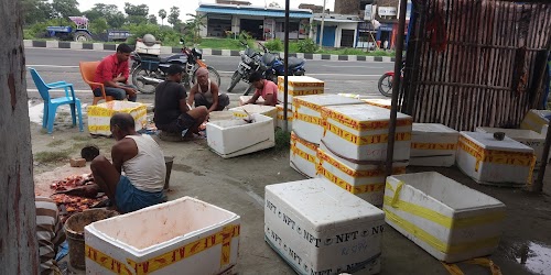 S.K Fish Centar