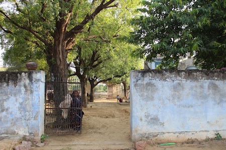 Kehari ka bas
