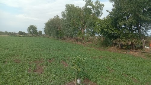 चौथ माता ,कीर डाहीमा