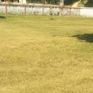 Narotampur