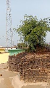 Panwari