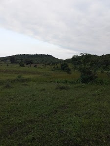 Bilakhedi