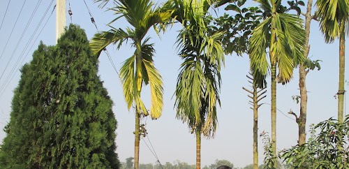 Shantipur Junction शान्तिपुर चोंक