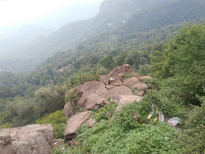 Lady's Seat