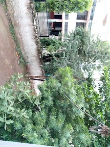 Nehru Colony