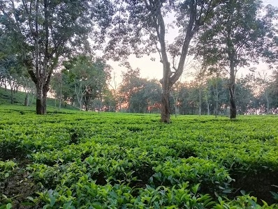Park