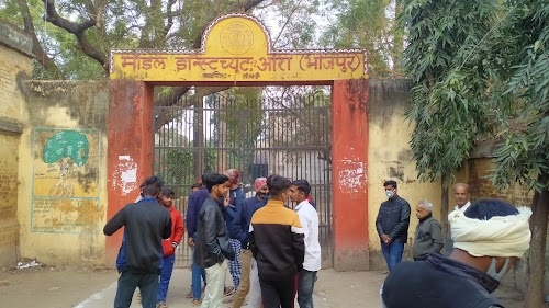 Model Institute