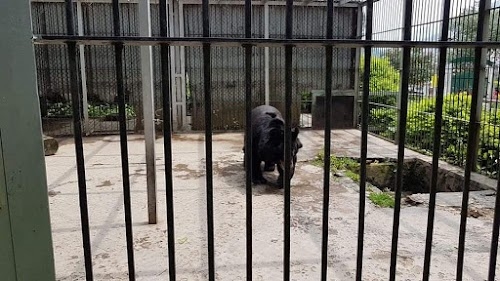 Rewalsar Zoo Park