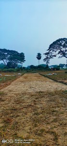 Cricket ground