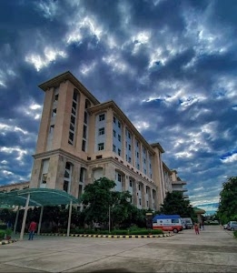 All India Institute of Ayurveda