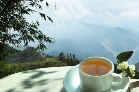 Assam Tea Supplier And Wholesalers