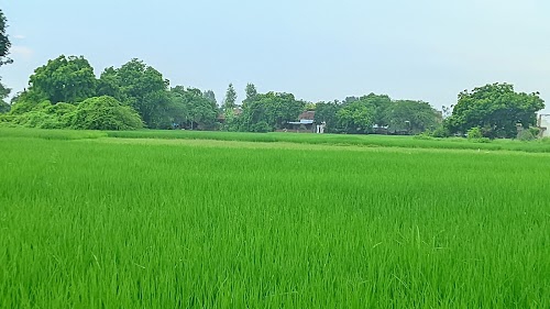 Tirwa Kannauj