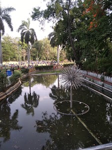 Saras Baug