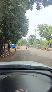 Daily Market