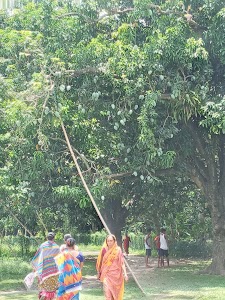 krishnanagar(কৃষ্ণনগর)