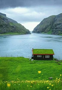 Milak