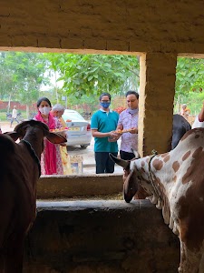 Gayatri Shaktipeeth And Surabhi Gaushala, Kaithawari