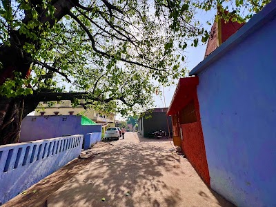 Ankitrunner academy