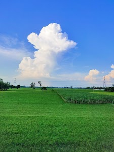 Baikuan