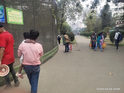Niko Park