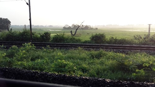 Gopinathpur
