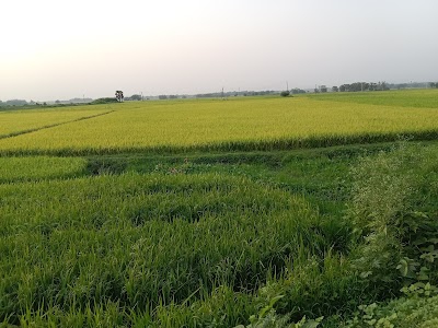 Bhadur more