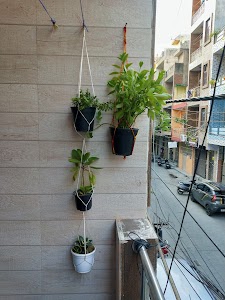 Pandav Nagar
