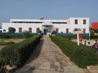 New D.V. Senior Secondary School ,Hathwala (Jind)